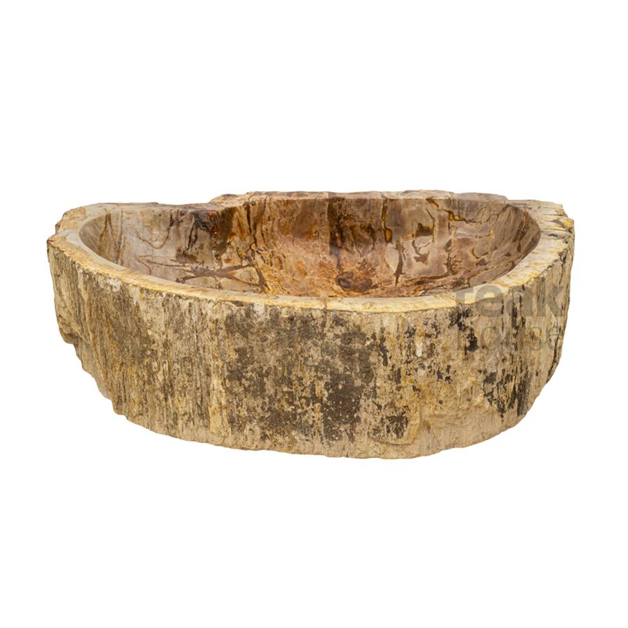 Раковина из окаменелого дерева FOSSIL (ФОССИЛ)