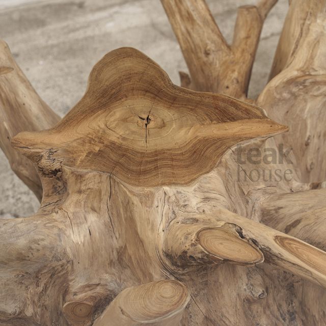 Стол кофейный из массива тика ROOT (РУТ) 100 со стеклом (71635N), фото 5